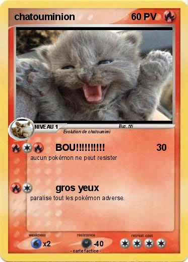 Pokemon chatouminion