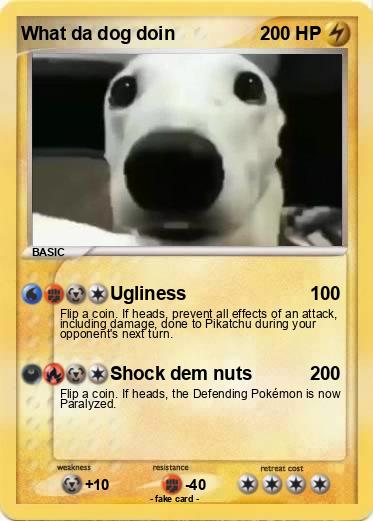 Pokemon What da dog doin