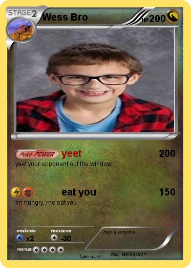 Pokemon Wess Bro