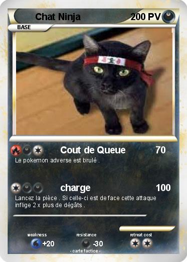 Pokemon Chat Ninja