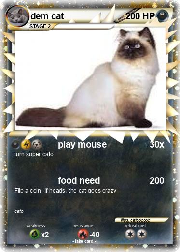 Pokemon dem cat