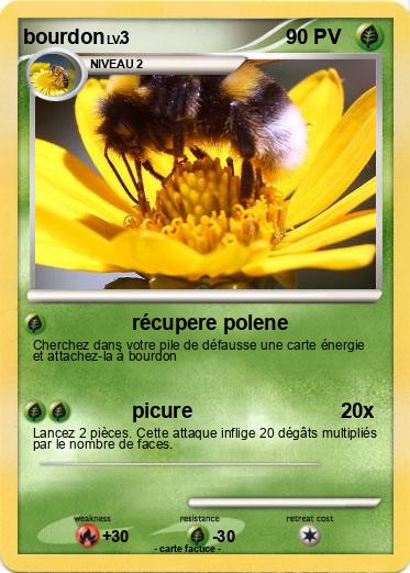 Pokemon bourdon