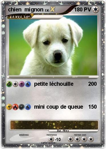 Pokemon chien  mignon
