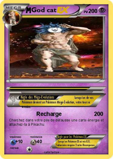 Pokemon God cat