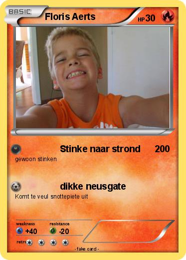 Pokemon Floris Aerts