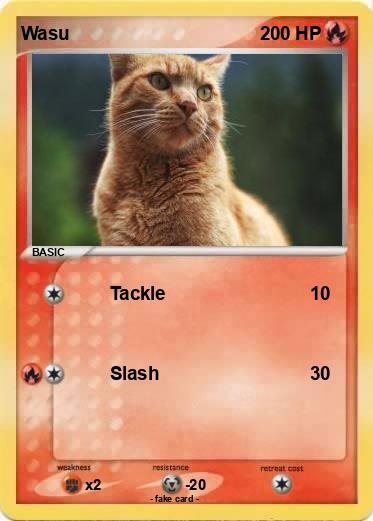 Pokemon Wasu