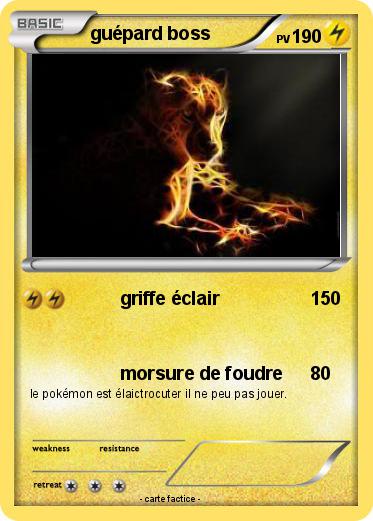 Pokemon guépard boss