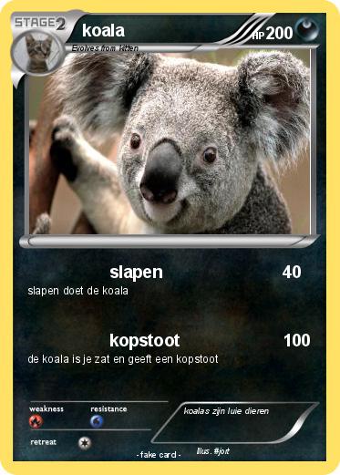 Pokemon koala