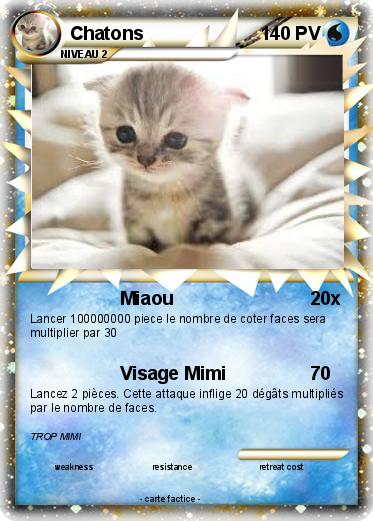 Pokemon Chatons
