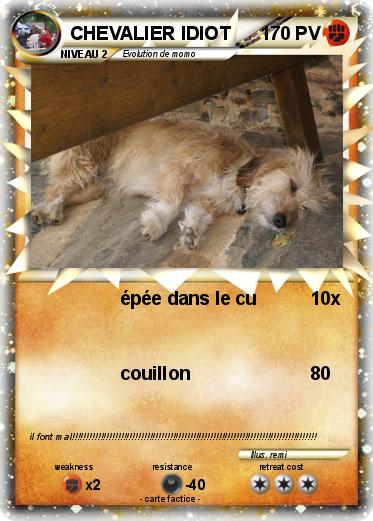 Pokemon CHEVALIER IDIOT