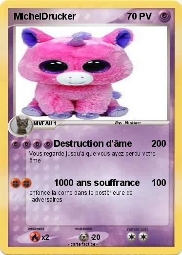 Pokemon MichelDrucker