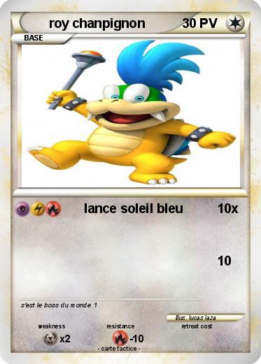 Pokemon roy chanpignon