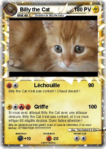Pokemon Billy the Cat