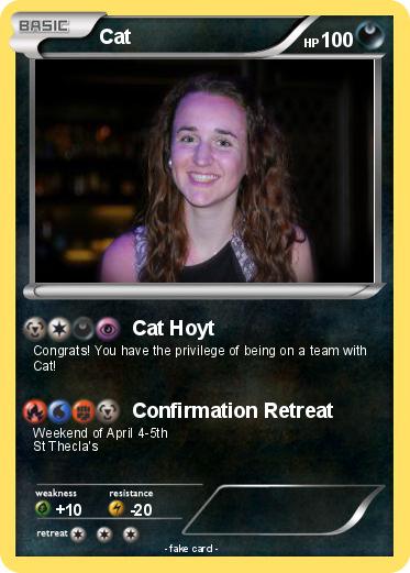 Pokemon Cat