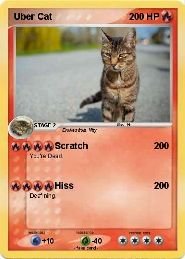 Pokemon Uber Cat