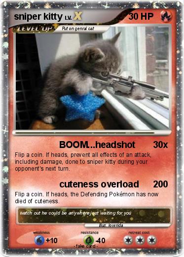 Pokemon sniper kitty
