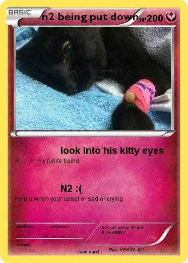 Pokemon n2 being put down