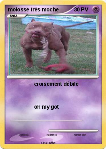 Pokemon molosse très moche