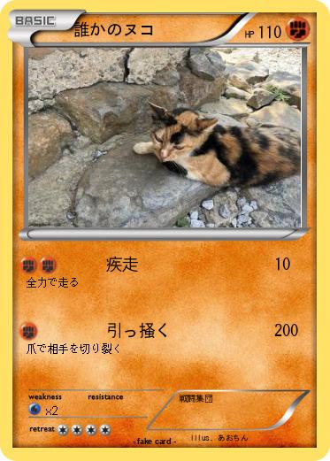 Pokemon 誰かのヌコ