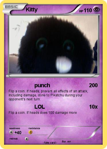Pokemon Kitty