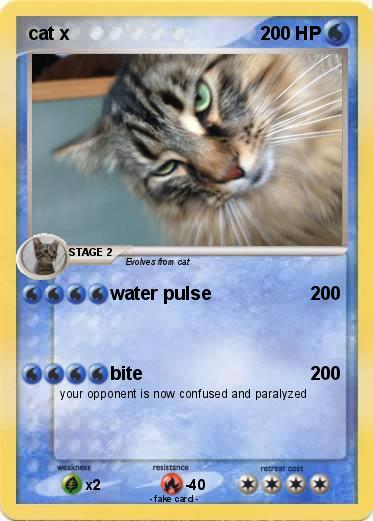 Pokemon cat x
