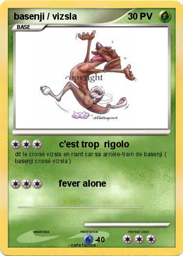 Pokemon basenji / vizsla