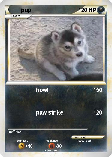 Pokemon pup