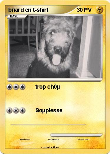 Pokemon briard en t-shirt