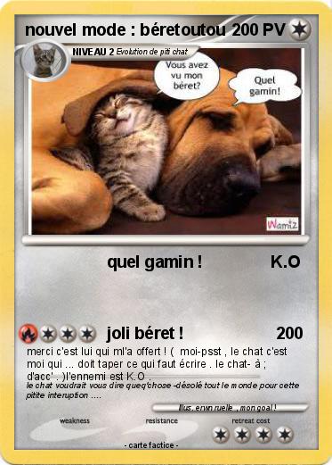 Pokemon nouvel mode : béretoutou