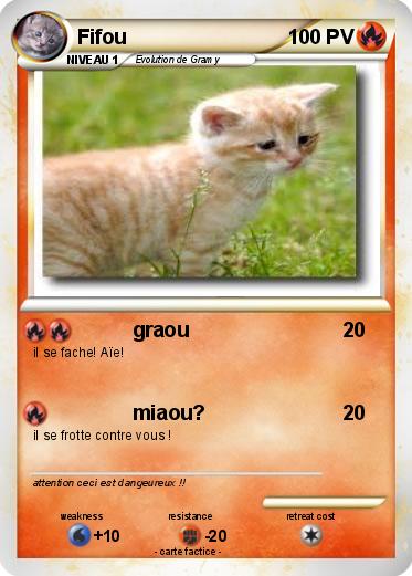 Pokemon Fifou