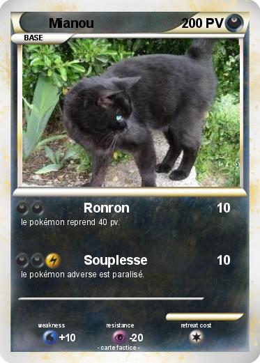 Pokemon Mianou