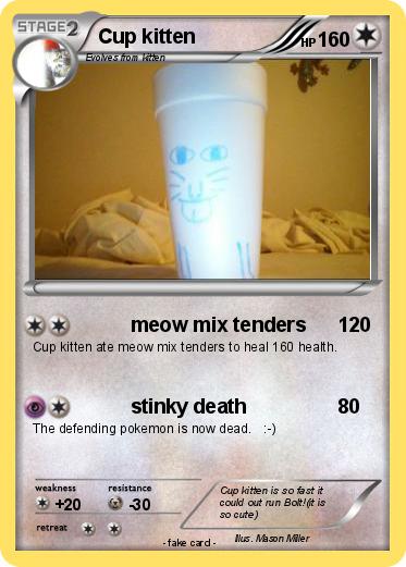 Pokemon Cup kitten