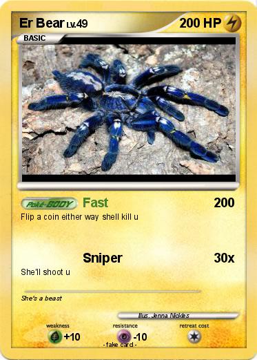 Pokemon Er Bear