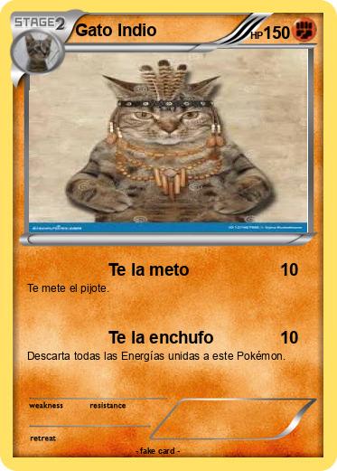 Pokemon Gato Indio