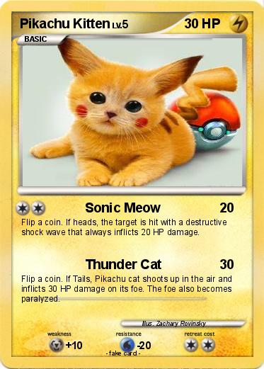 Pokemon Pikachu Kitten
