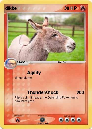 Pokemon dikke
