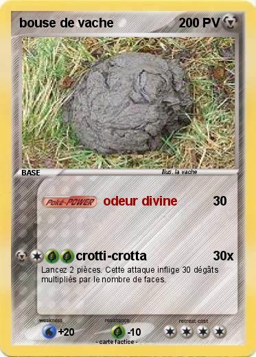 Pokemon bouse de vache