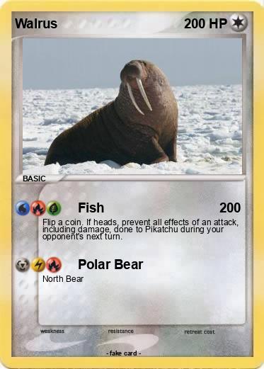 Pokemon Walrus
