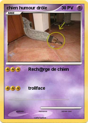 Pokemon chien humour drôle