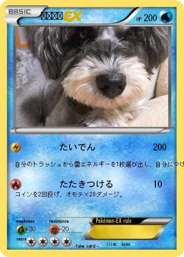 Pokemon ファイン