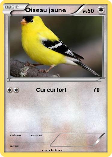 Pokemon Oiseau jaune