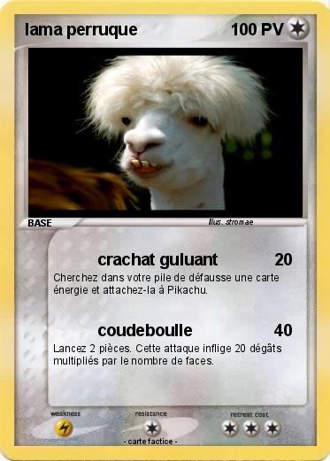 Pokemon lama perruque