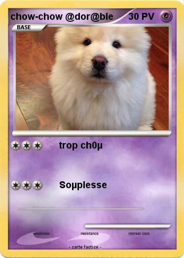 Pokemon chow-chow @dor@ble