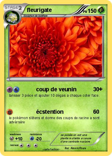 Pokemon fleurigate
