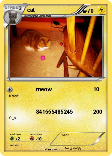 Pokemon cat