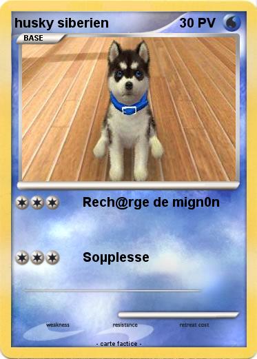 Pokemon husky siberien