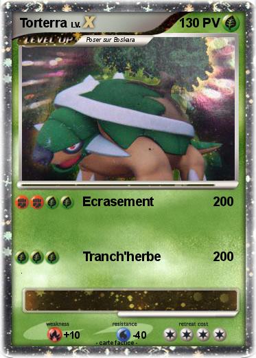 Pokemon Torterra