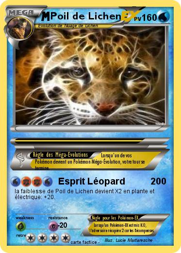 Pokemon Poil de Lichen