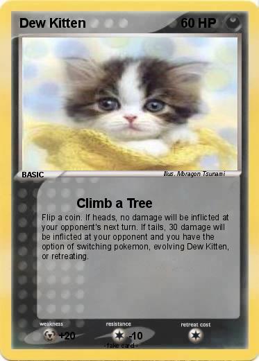 Pokemon Dew Kitten