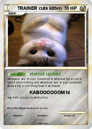 Pokemon TRAINER cute kitten